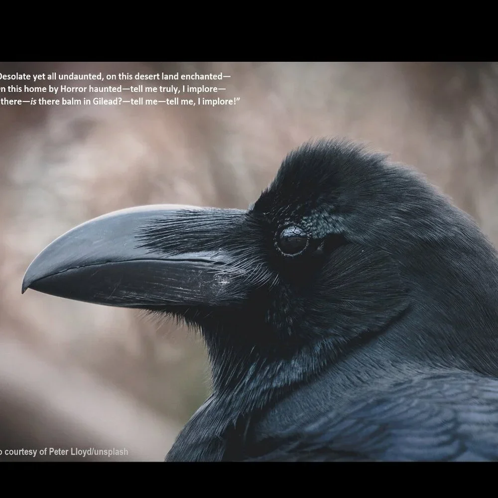 Raven Calendar 2027 Ravens Planner with The Raven by Edgar Allan Poe Poetry